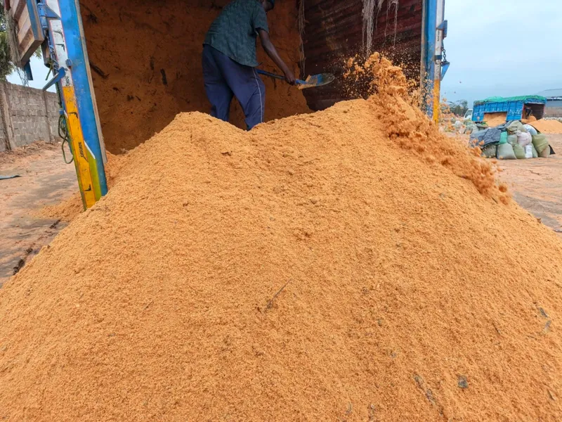 Fresh sawdust piled for processing